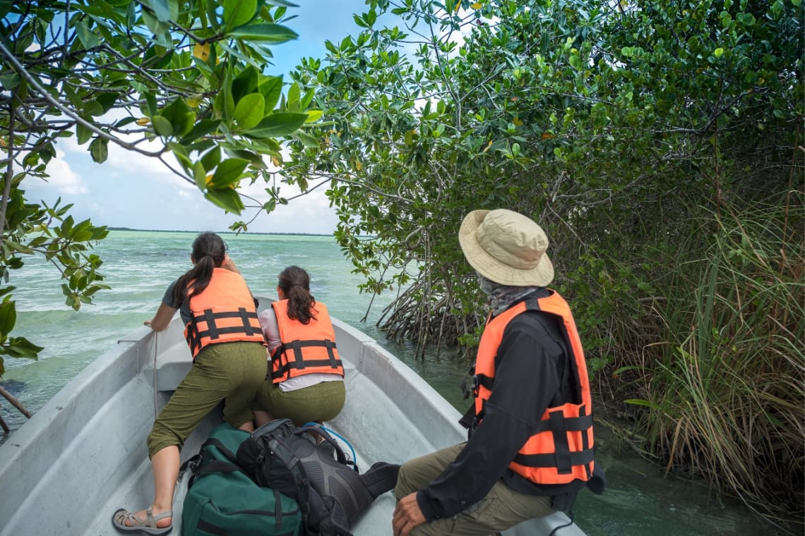 Three people on a boat navigating through a river surrounded by mangrove
