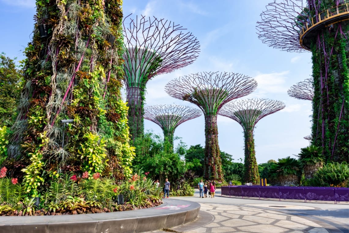Parque Gardens by the Bay en Singapur, Sudeste Asiático