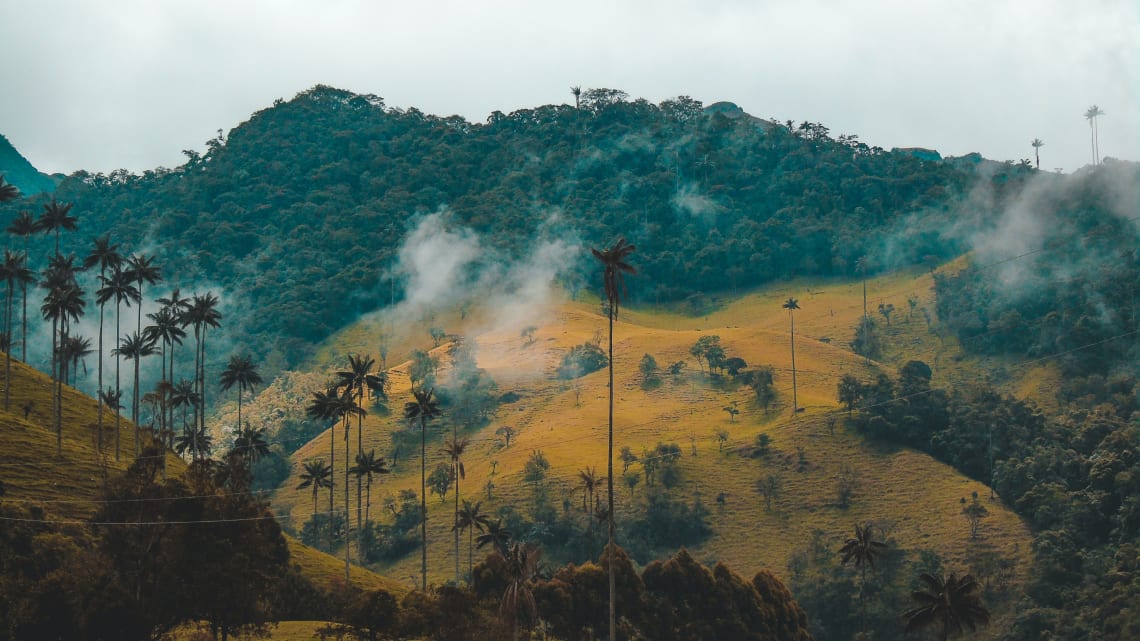 If you're visiting rural Colombia, consider the heightened risk of disease. 