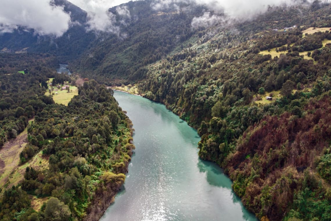 Río en zona de bosque de la Región de Los Lagos, Chile
