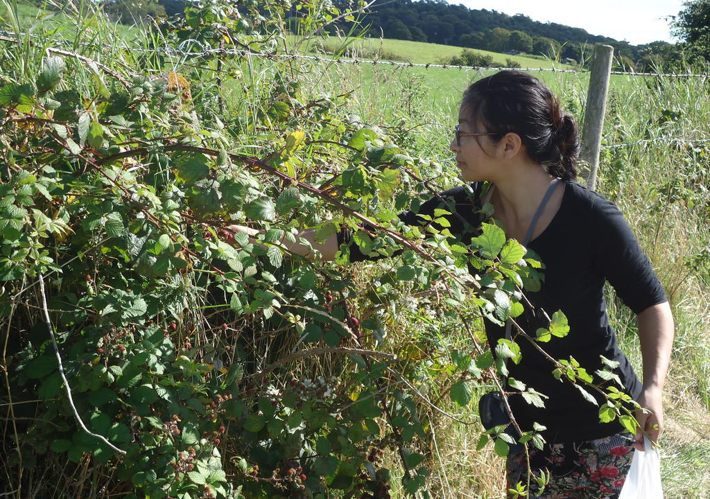 Volunteer engaging in farm work in the UK