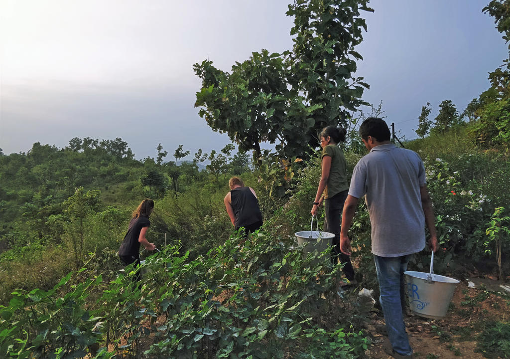 people working in a farm