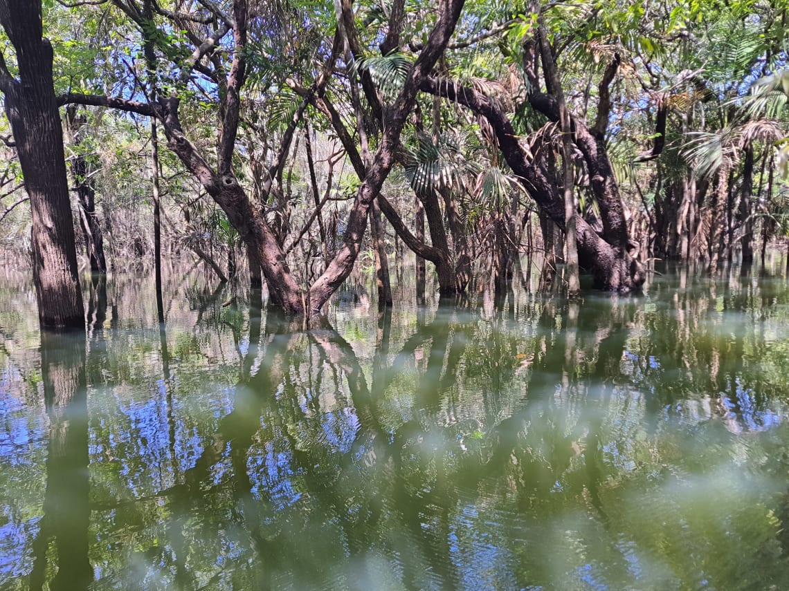 roteiro amazônia