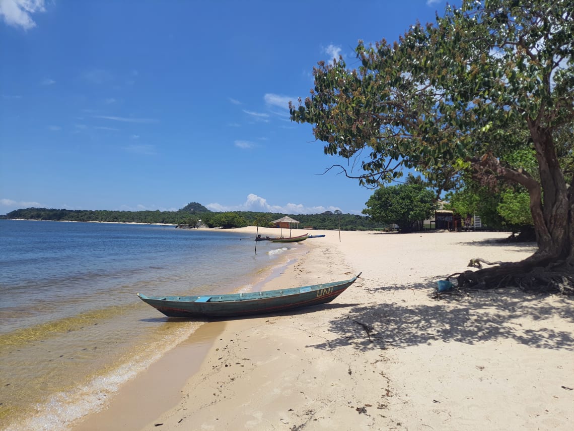 quando ir para a amazônia