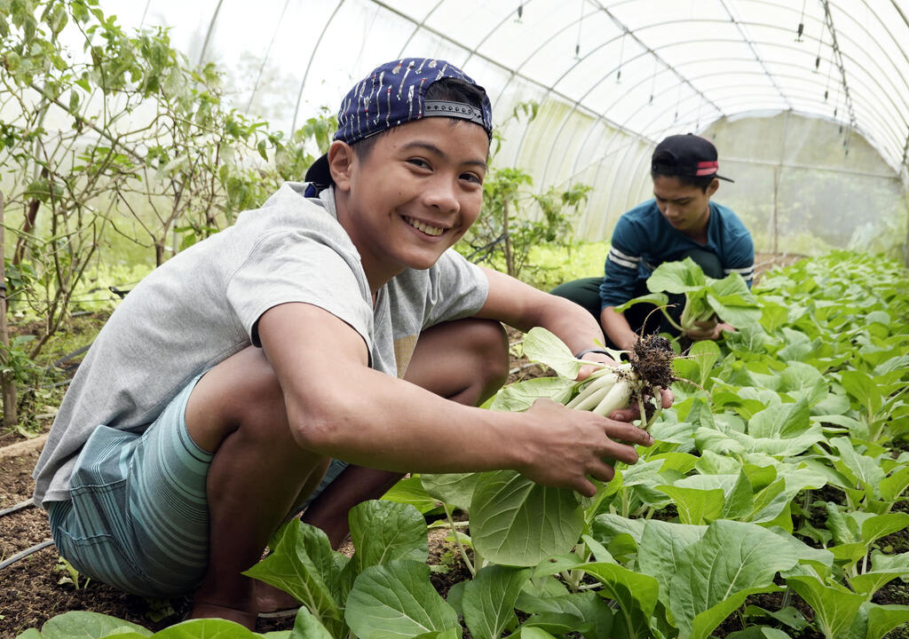 Environmental projects: two young smiling guys working on a greenhouse