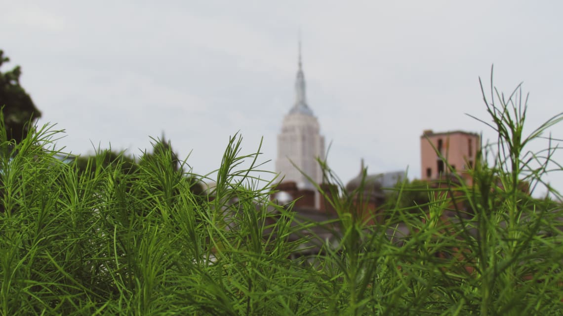 Guía para visitar Nueva York por primera vez: qué ver y recomendaciones - Worldpakcers - the high line en nueva york 