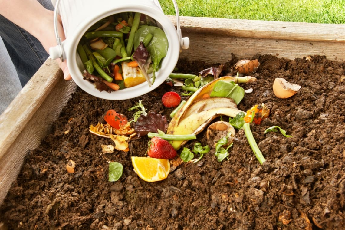 Guy emptying a bucket of organic waste into a container of compost