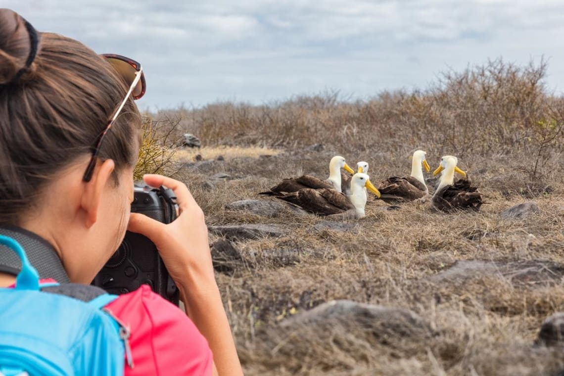 Chica sacando fotos de fauna de las islas Galápagos