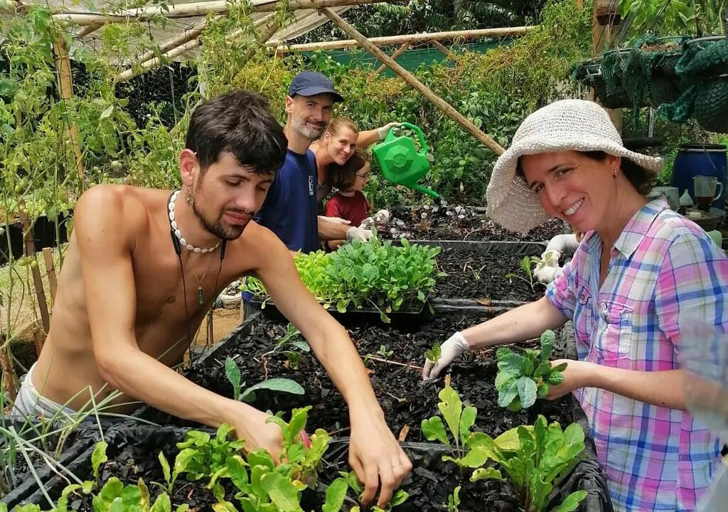 Volunteers doing farm work in a eco program in Costa Rica