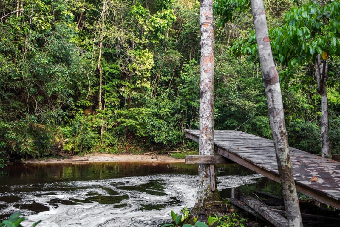 Puente para cruzar arroyo por la selva en las afueras de Presidente Figueiredo