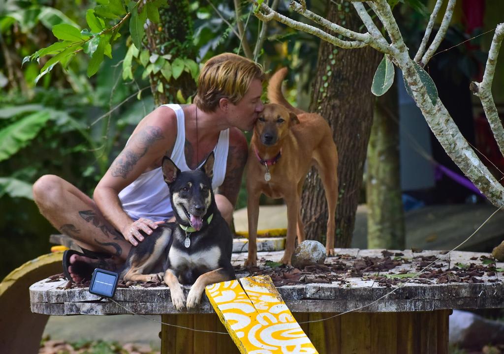 Guy kissing a dog and caressing another