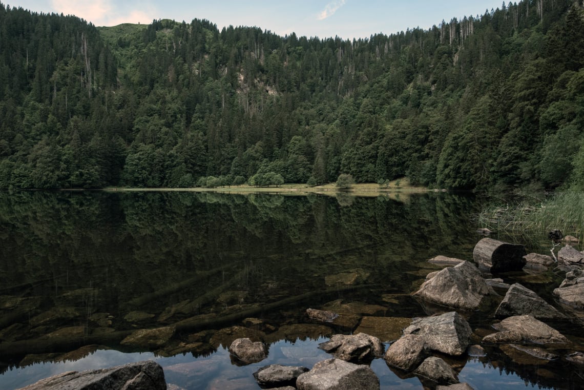 Best European destinations for nature lovers: Black Forest, Germany