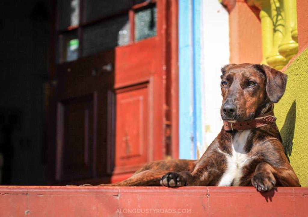 que hacer en valpo y vina del mar