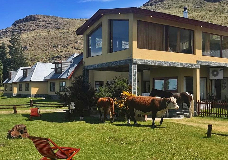 Vacas y caballos pastando delante de estancia patagónica