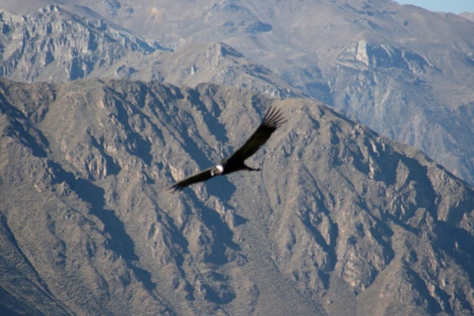 Las mejores cosas que hacer en Tarija y alrededores - Worldpackers - valle de los cóndores en Tarija Bolivia&nbsp;&nbsp;