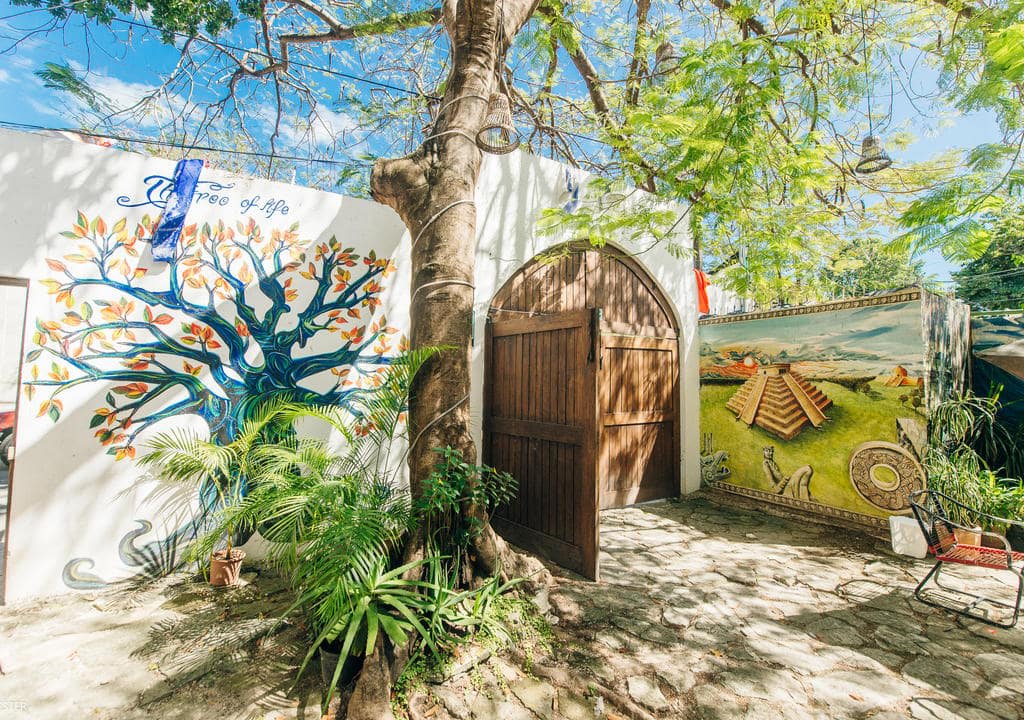  Mejores Anfitriones mexico 