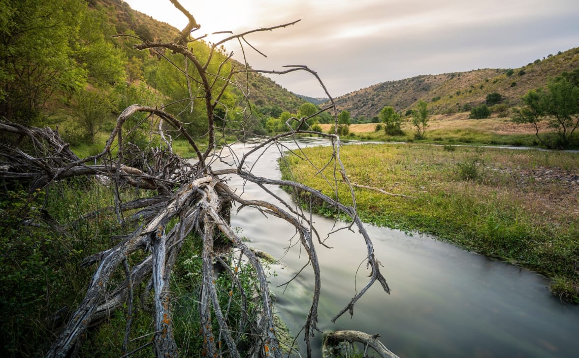 Curso del río Lozoya por zona natural de las afueras de Madrid