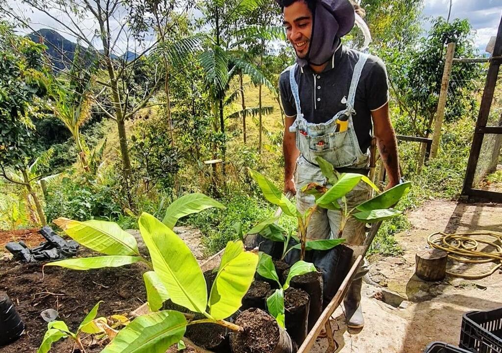 Programas de Voluntariado no Brasil e no exterior