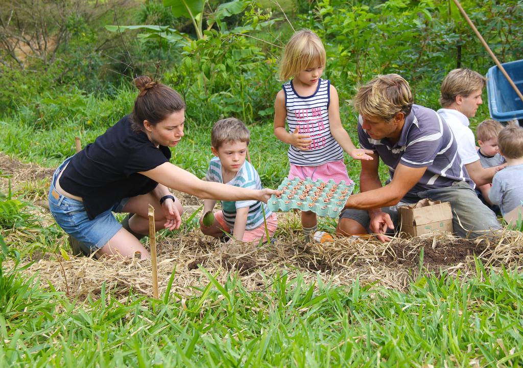 Familia con dos niños colocando plantines orgánicos