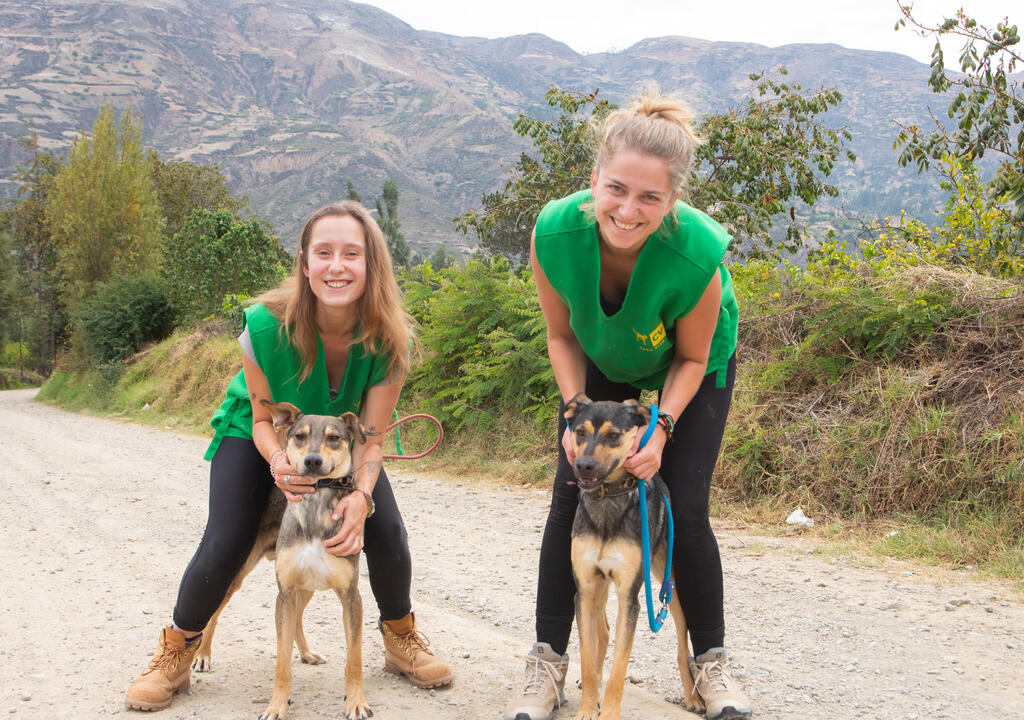 Voluntariado na América do Sul.