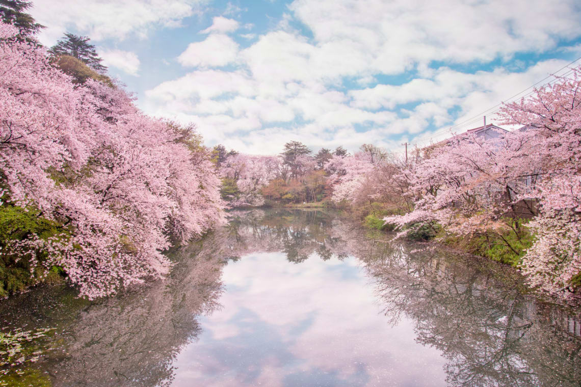 non tourist things in japan