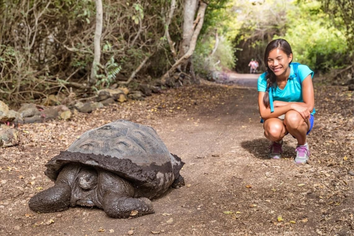 Chica observando una tortuga gigante de Galápagos, uno de los mejores destinos de ecoturismo