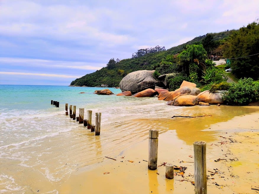 que tal fazer um voluntariado numa praia de santa cata