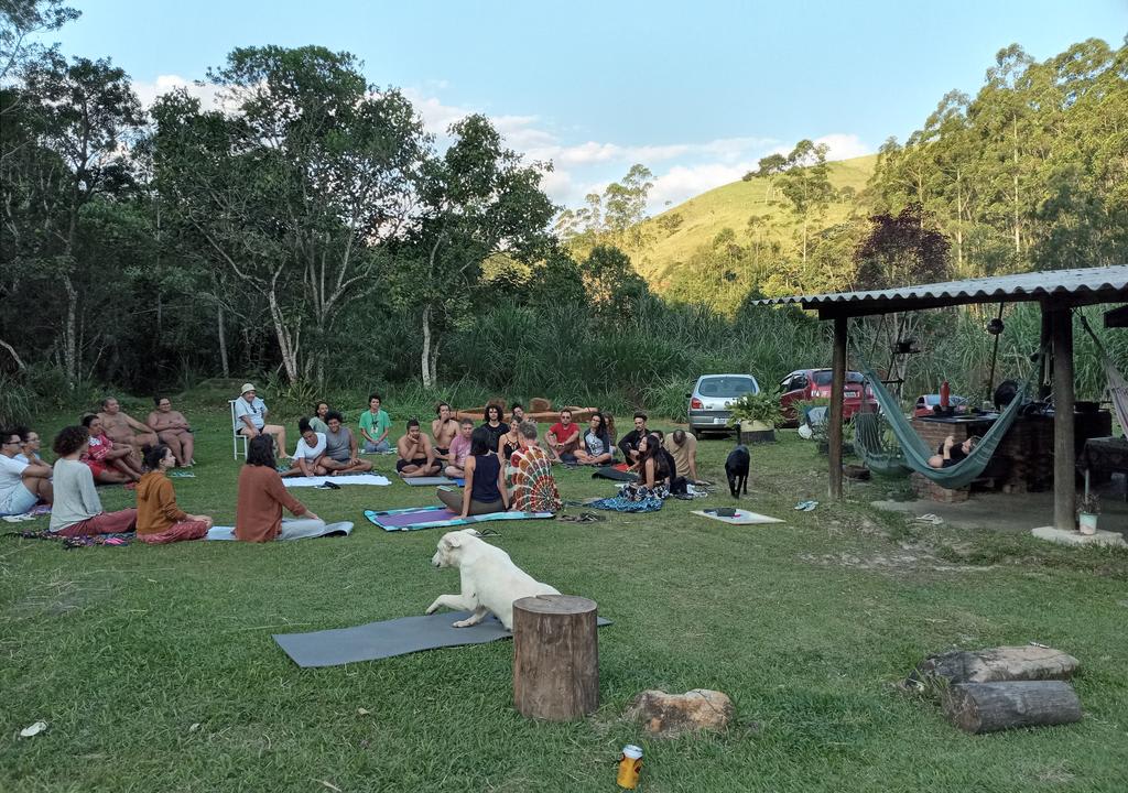 voluntariado em uma comunidade sustentável