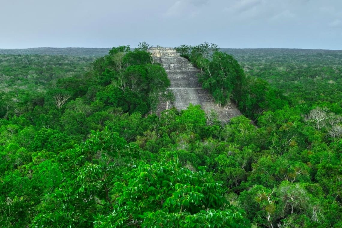 Pirámide de Calakmul rodeada de vegetación