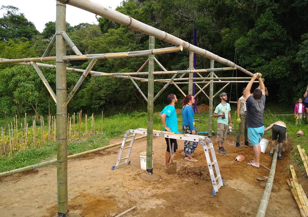  Mejores Anfitriones borboletas 