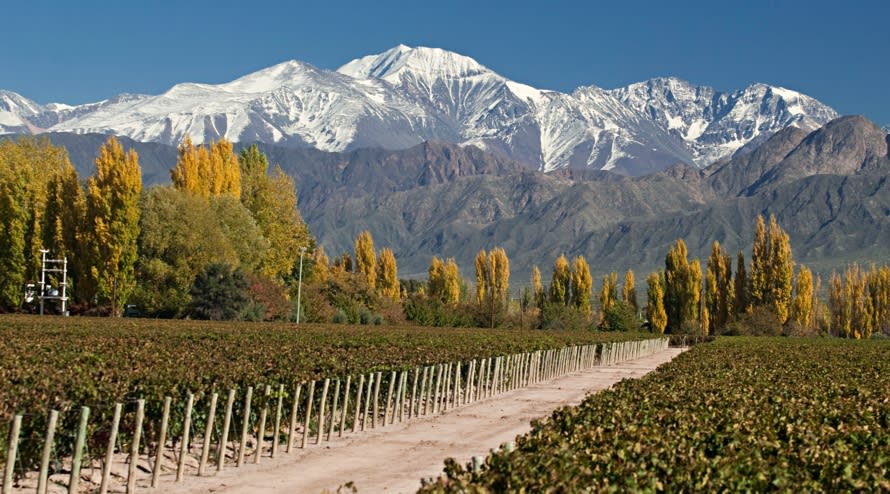 Las mejores ciudades de Sudamérica para visitar - Mendoza, Argentina - Worldpackers