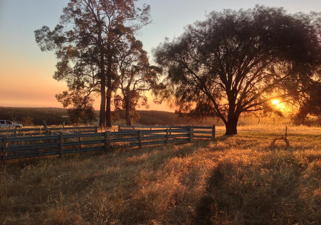 Explore Western Australia’s farm and wine region while working on a chestnut Farm