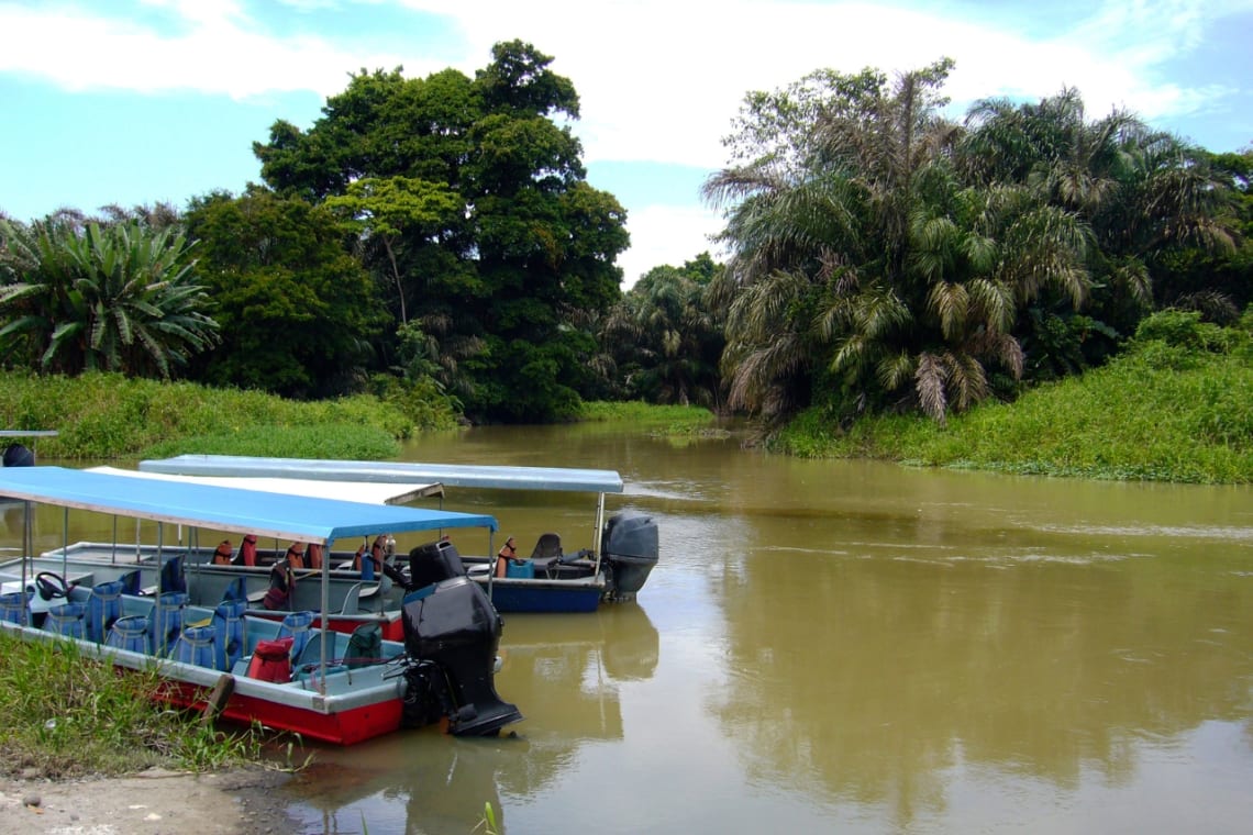 Boats for visitors in Tortuguero National Park