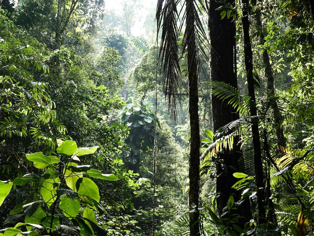 costa rica tourist dangers