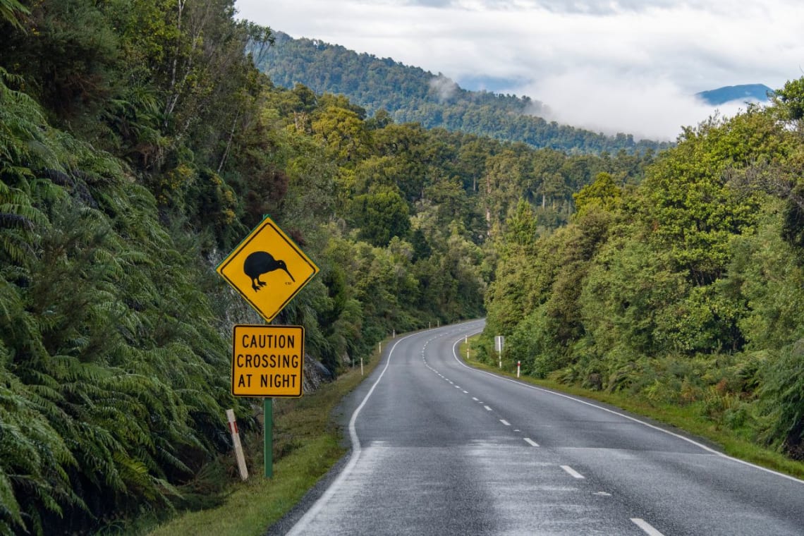 Viaje a Nueva Zelanda: carretera entre bosque y cartel de cruce de kiwis