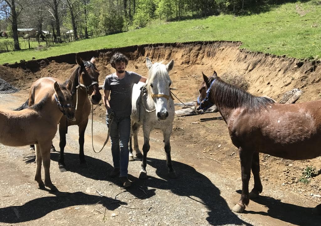  Mejores Anfitriones Chile 