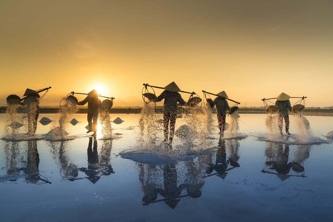 Local harvest, Vietnam