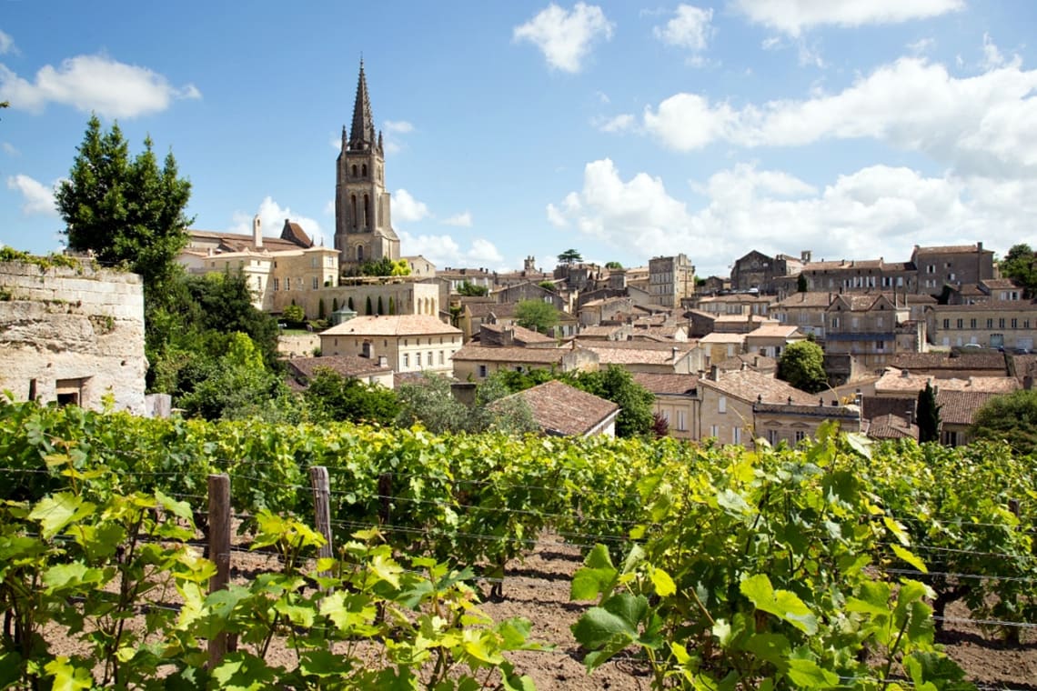 Viñedo en la región de Burdeos, Francia