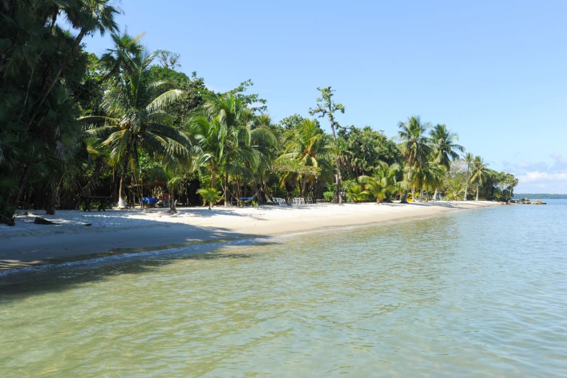 Playas de Guatemala: Playa Blanca con palmeras vista desde el mar
