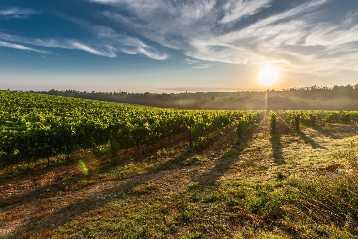 a scenery in tuscany