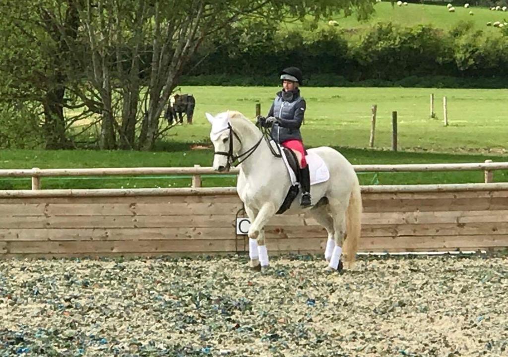  Mejores Anfitriones Inglaterra 