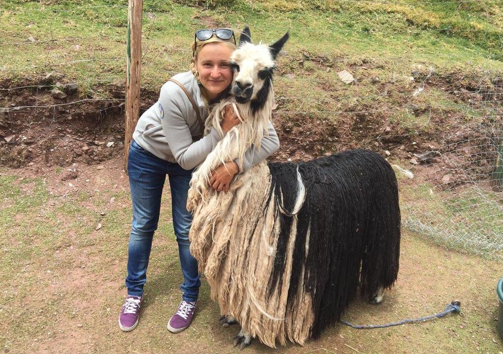 Volunteer to help animals in Peru