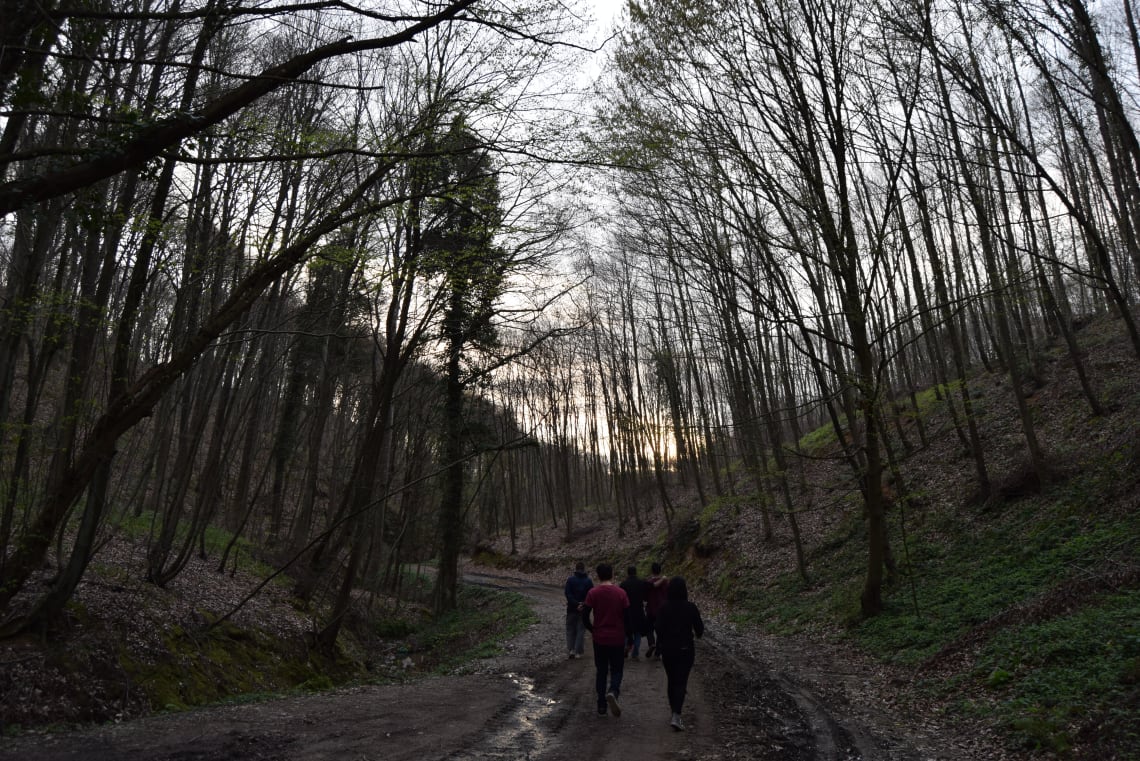 Todo lo que debes saber antes de viajar a Estambul - Worldpackers - bosque de Kemerburgaz en estambul