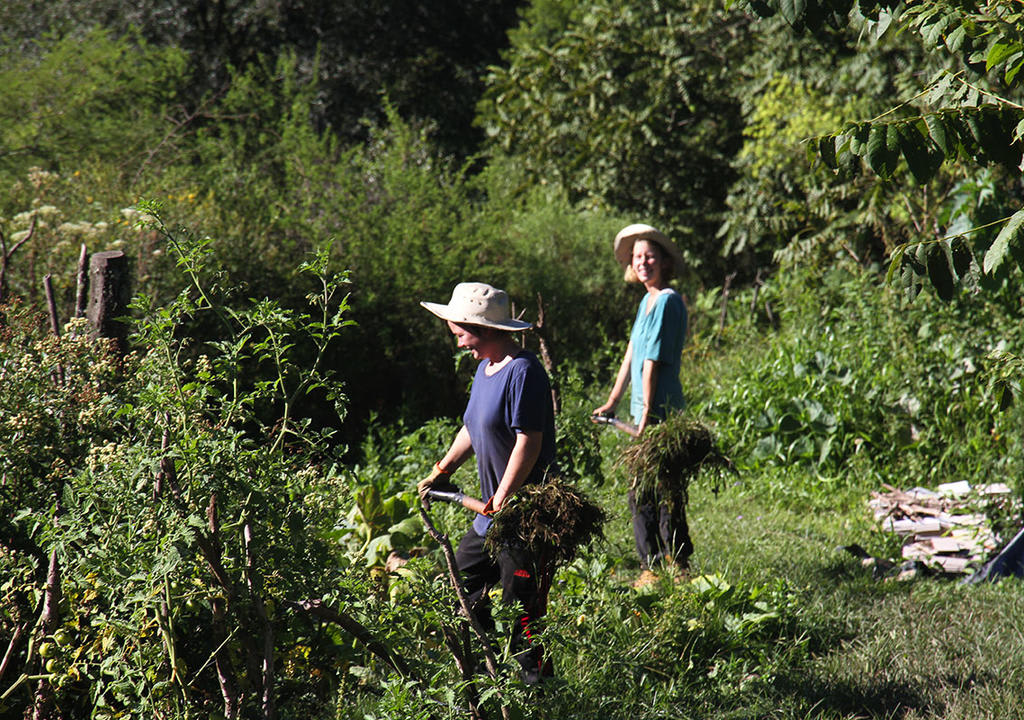 contribuye con un proyecto ecológico