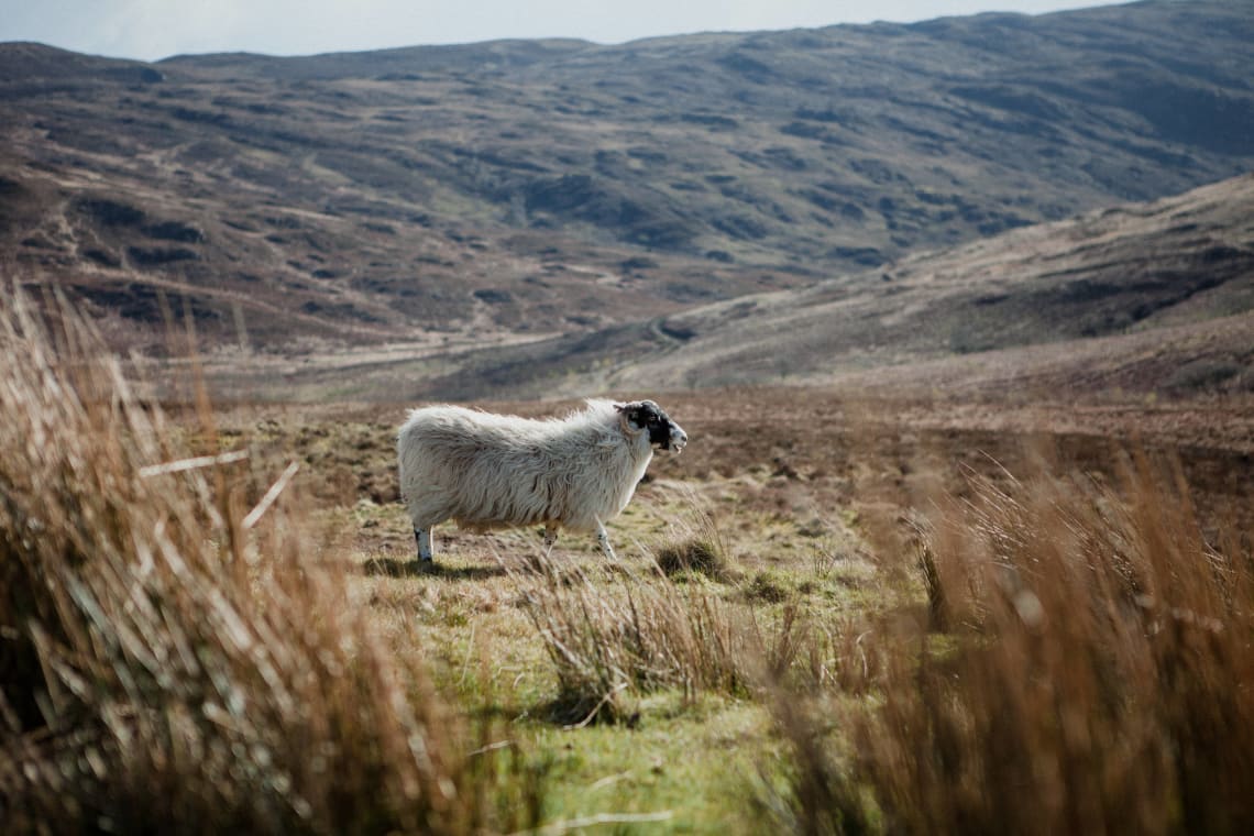 Best European destinations for nature lovers: Isle of Skye, Scotland