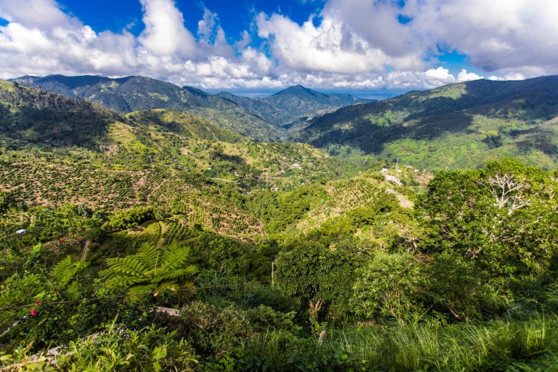 Qué hacer en Jamaica: paisaje verde de las Blue Mountains