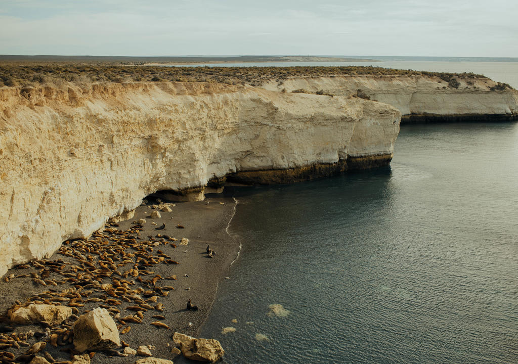 Melhores praias na Argentina: Puerto Madryn