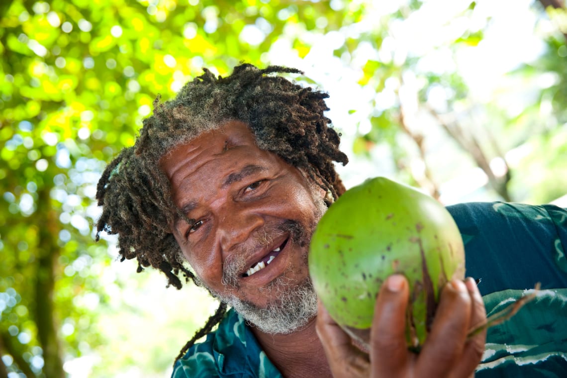 jamaica is a great destination for a traveling vegan