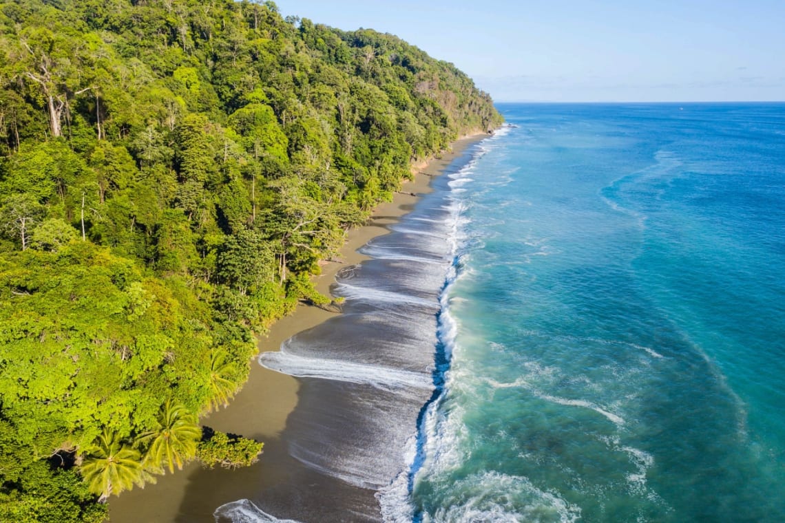 Ocean meets the jungle at a beach in Corcovado National Park, one of the best destinations for ecotourism in Costa Rica