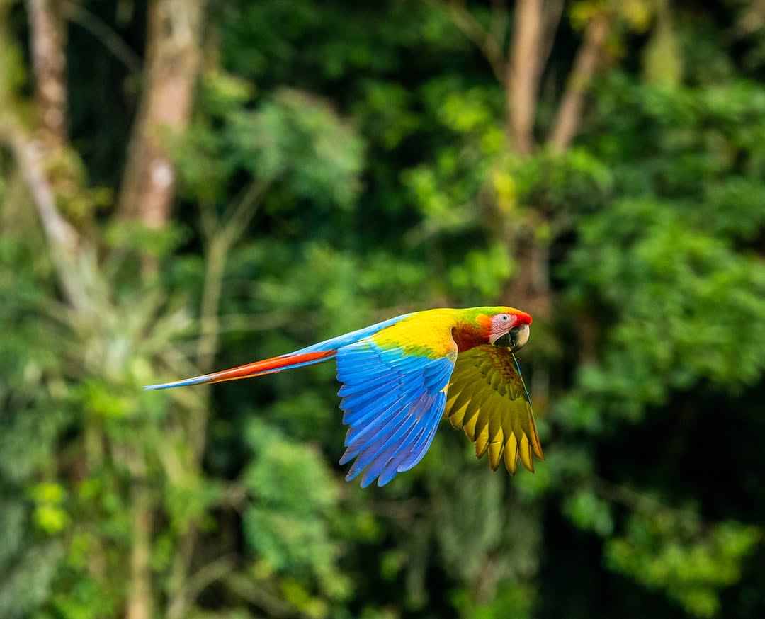 costa rica tourist dangers